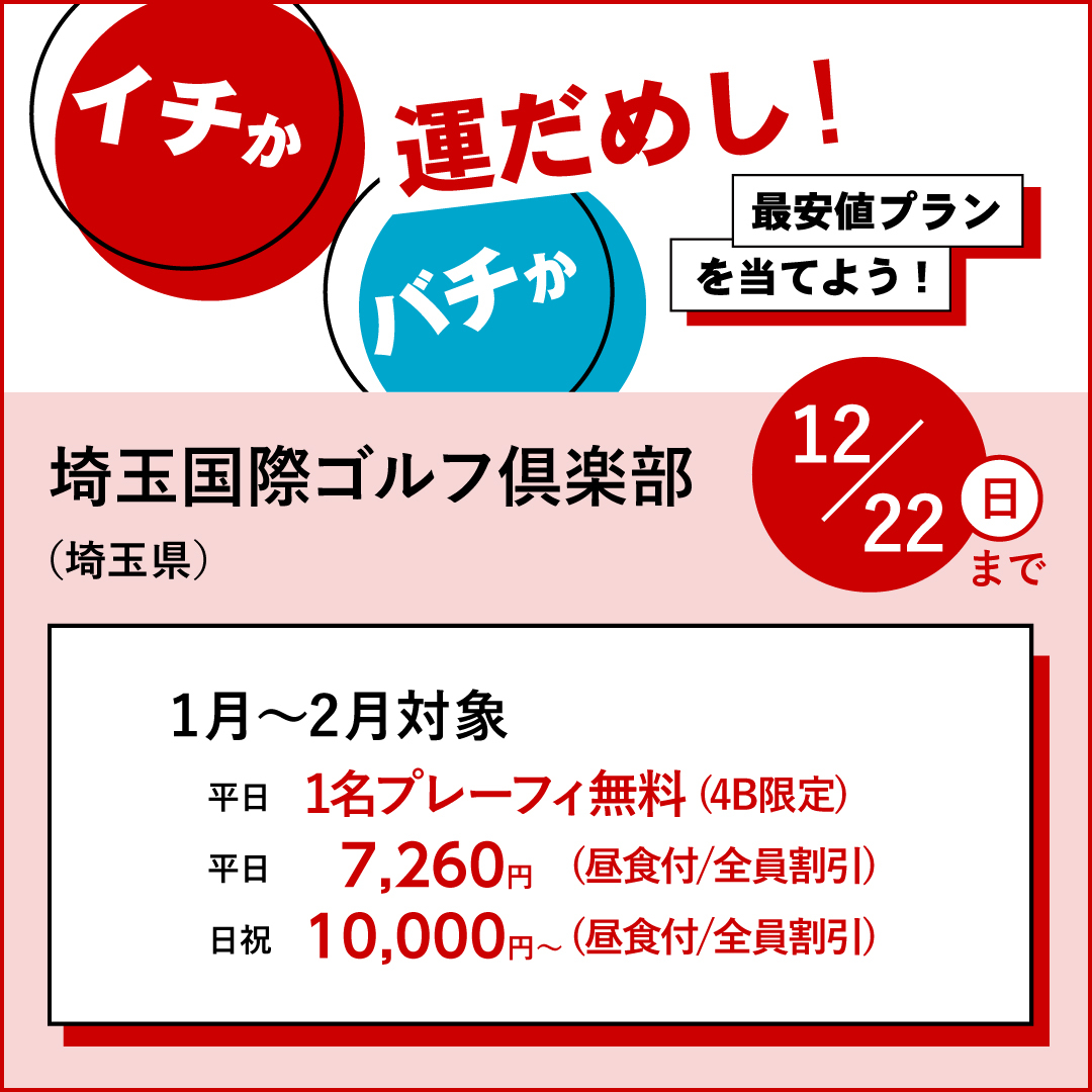 イチかバチか運試し「最安値プラン」を当てよう！